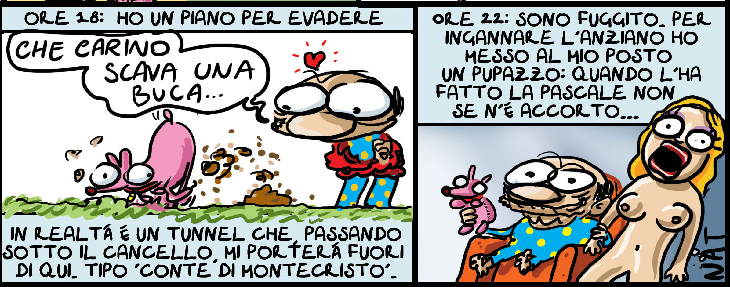 dudu4web