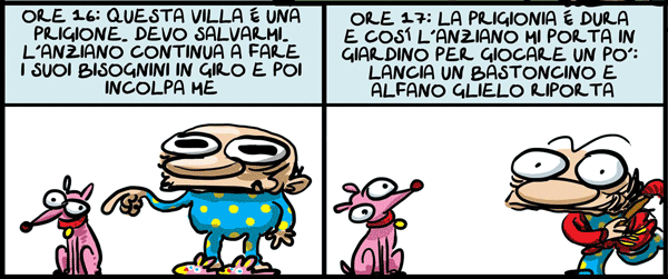 vignetta-5-6def